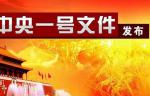 （2020年中央一號文件全文）中共中央 國務(wù)院關(guān)于抓好“三農(nóng)”領(lǐng)域重點(diǎn)工作確保如期實(shí)現(xiàn)全面小康的意見