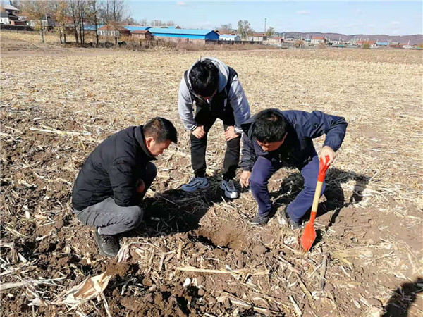 龍井市2020年深松整地作業(yè)項(xiàng)目進(jìn)入收尾工作