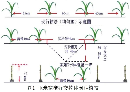 圖片1.jpg