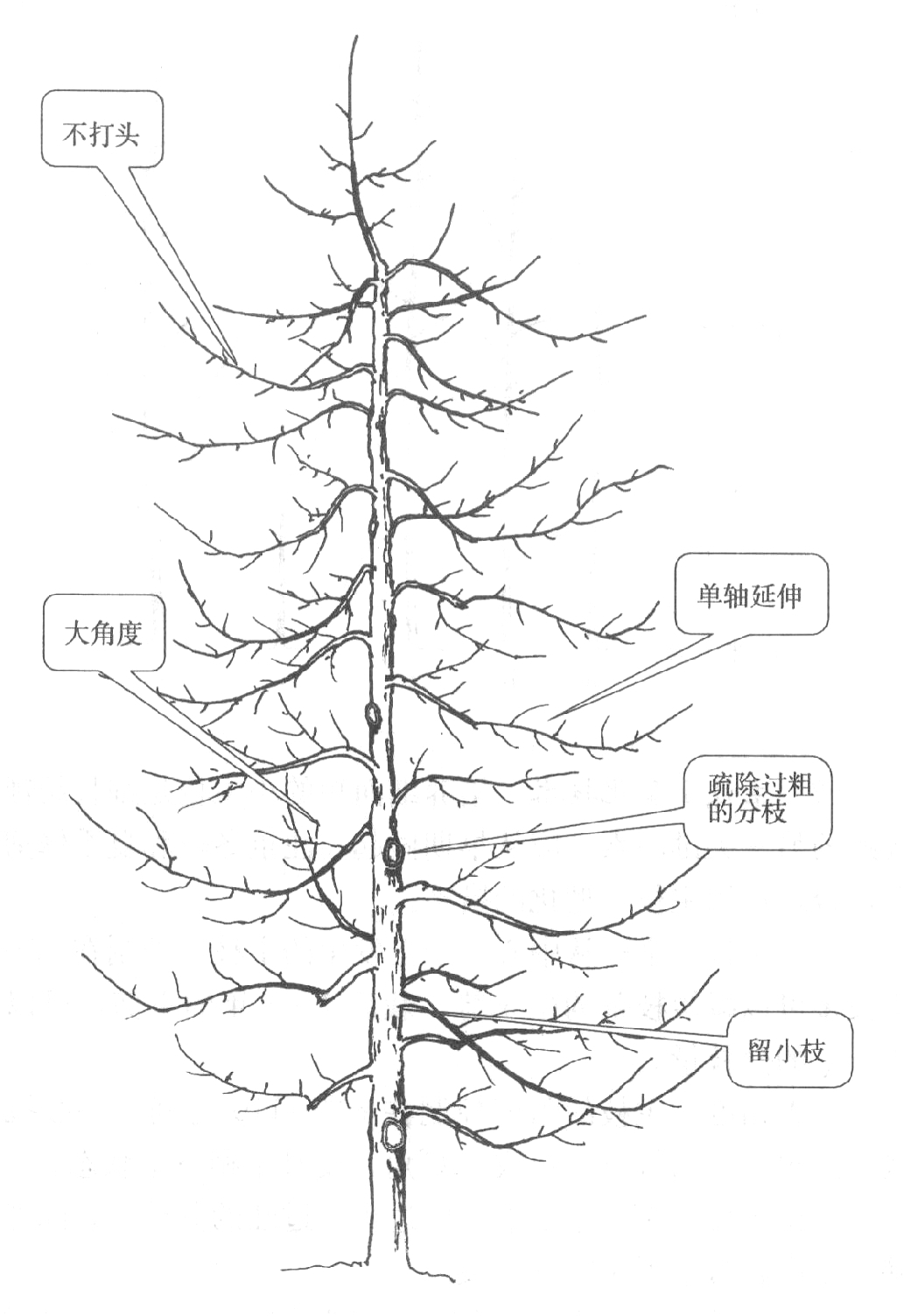 圖片1.jpg