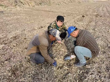 安圖縣黑土地保護(hù)性耕作全面完成