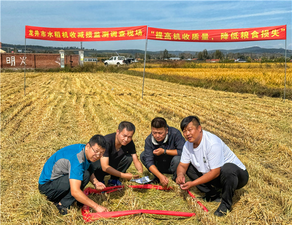 龍井市農(nóng)機(jī)總站開展水稻機(jī)收減損監(jiān)測調(diào)查活動